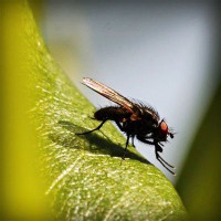 /album/naiframuslira/photolia-a04-jpg/