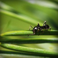 /album/naiframuslira/photolia-a05-jpg/