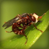 /album/naiframuslira/photolia-a06-jpg/